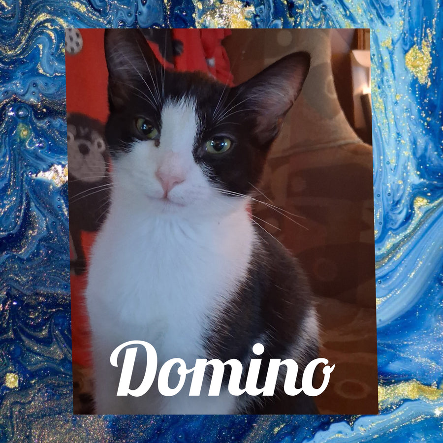 Domino