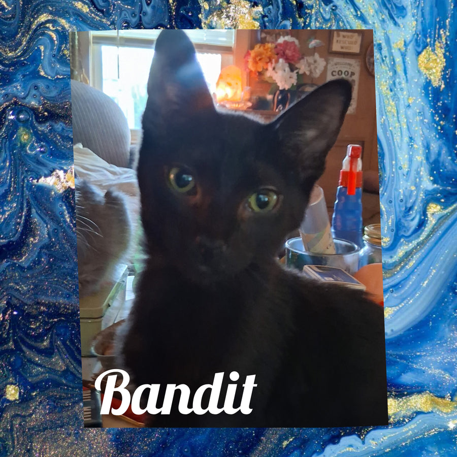 Bandit