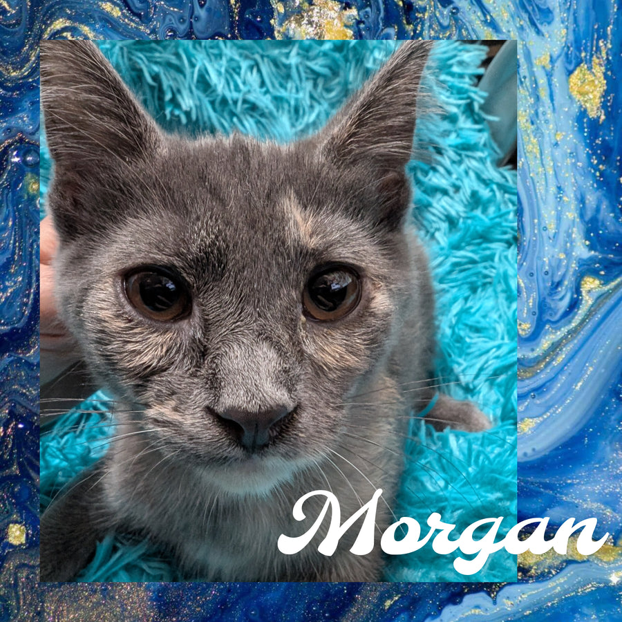 Morgan