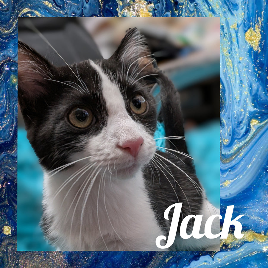 Jack