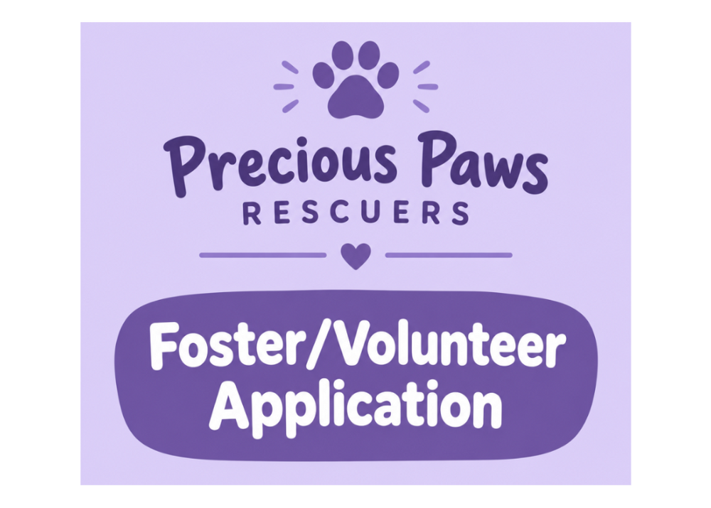 Foster Application