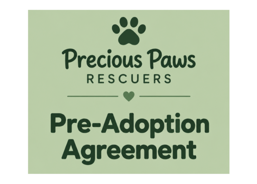 Pre-Adoption Agreement